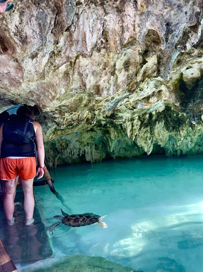 Zanzibar: Sea Turtle Swim at Kizimkazi Salaam Cave Tour - Who will enjoy this most