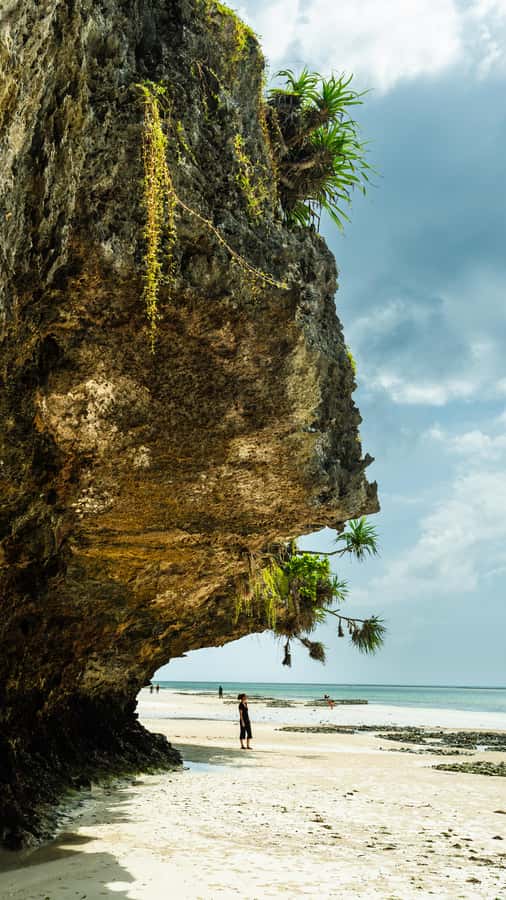 Zanzibar : Secret Beach, Kuza Cave and Jozani with transfer - A six-hour sampler of southern Zanzibar