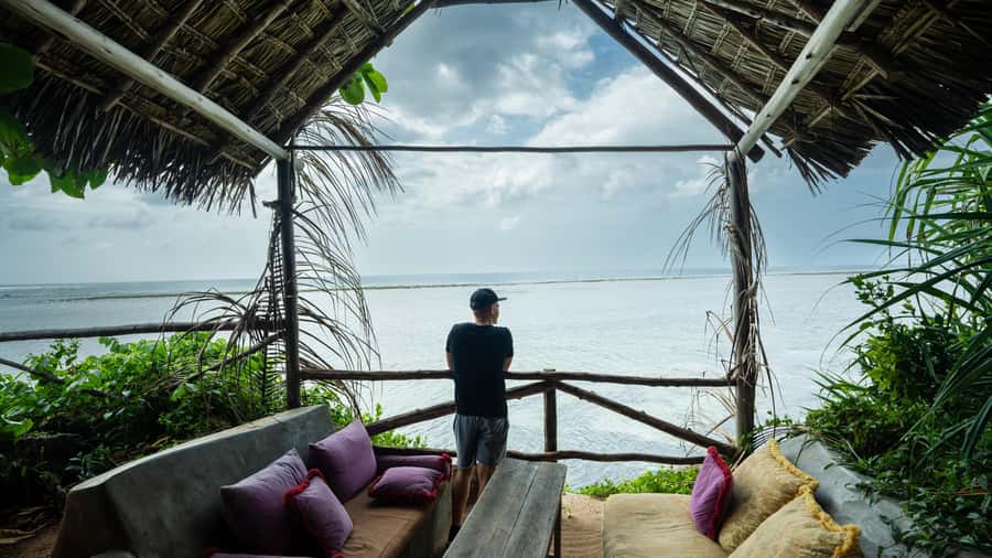 Zanzibar : Secret Beach, Kuza Cave and Jozani with transfer - Jozani Forest and the red colobus monkeys