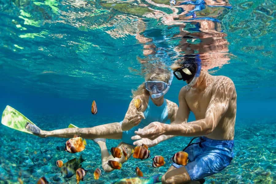 Zanzibar: Snorkeling at blue lagoon & Star fish tour - Leaving Zanzibar for Pingwe