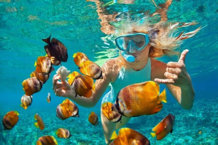 Zanzibar: Snorkeling at blue lagoon & Star fish tour - Fresh fruit between the stops