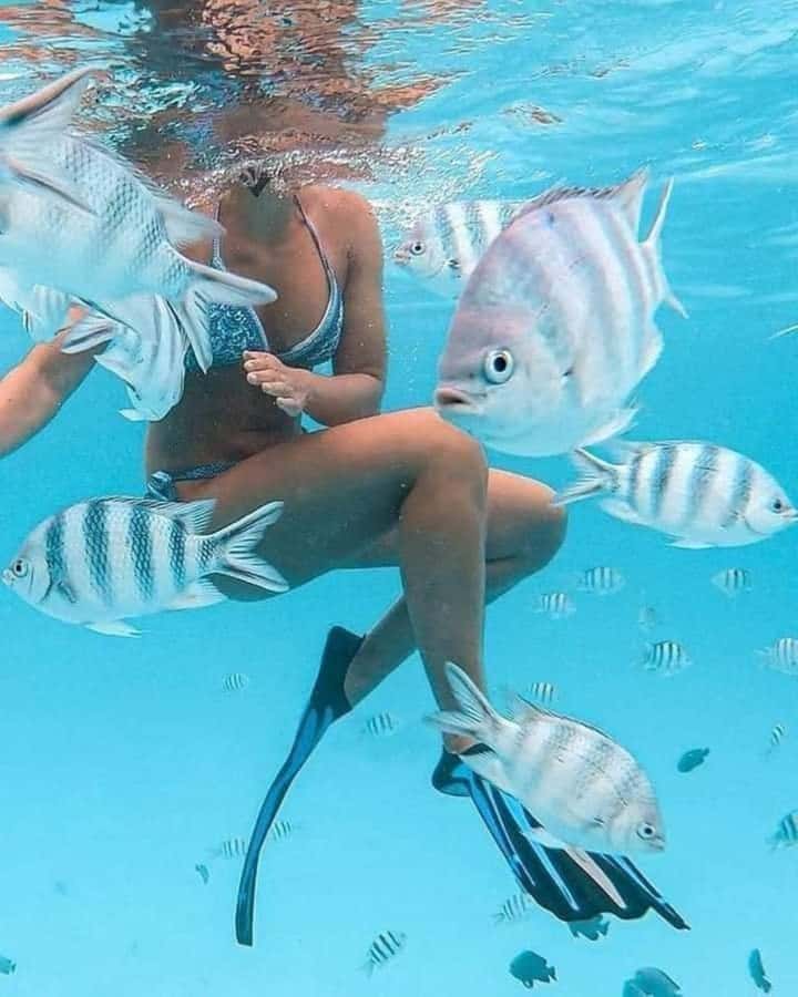 Zanzibar: Snorkeling at blue lagoon & Star fish tour - What the $85 price includes