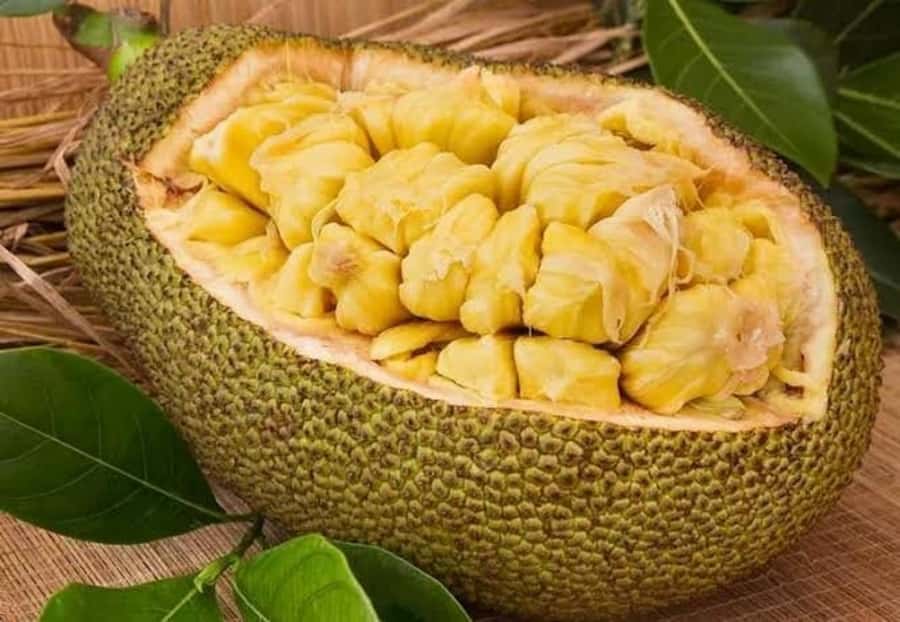 Zanzibar: Spice farm Private tour with Lunch - Who will enjoy this farm visit most
