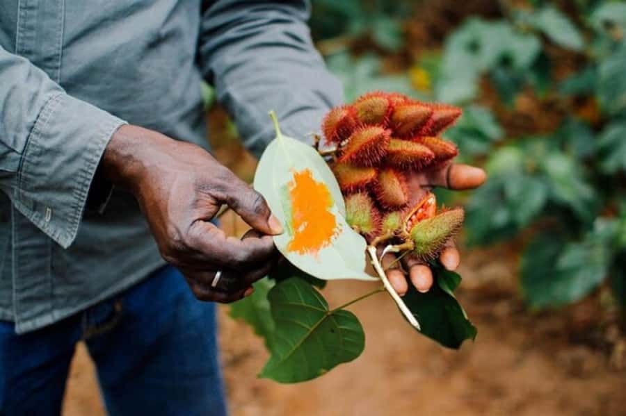 Zanzibar: Spice farm Private tour with Lunch - A Swahili lunch among the spices