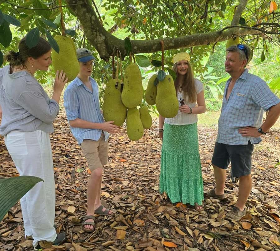 Zanzibar: Spice farm Private tour with Lunch - Getting there by air-conditioned minivan