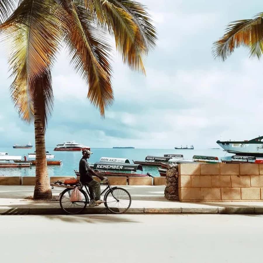 Zanzibar: Spice Tour & Stone Town Walking Tour - What to bring and how to pace the five hours