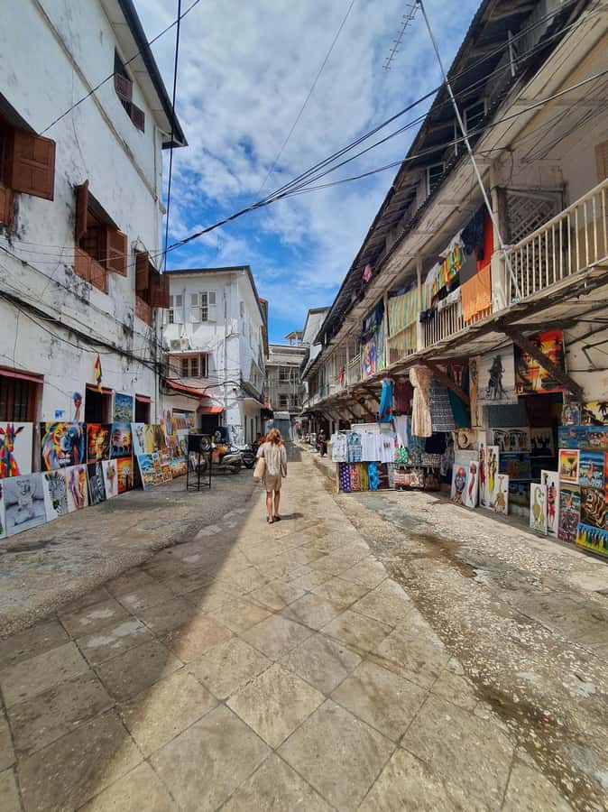 Zanzibar: Stone Town and Prison Island Tour - Starting At Stone Town’s Old Fort