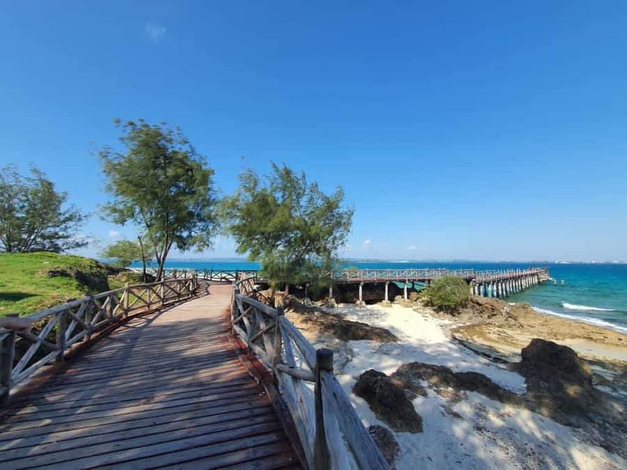 Zanzibar: Stone Town and Prison Island Tour - Crossing To Prison Island By Dhow