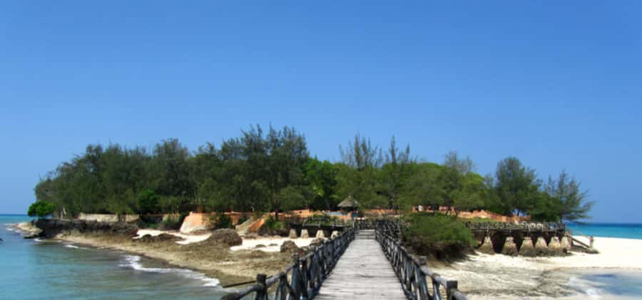 Zanzibar: Stone Town Guided Tour with Prison Island - What this Zanzibar day trip actually covers