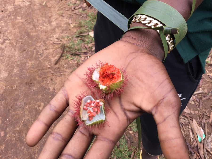 Zanzibar:Stone Town & Spice Farm Private Tour Lunch Included - Why this pairing works so well