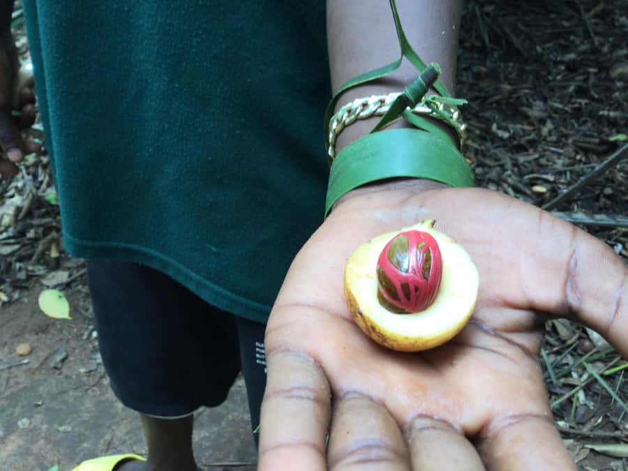 Zanzibar:Stone Town & Spice Farm Private Tour Lunch Included - Swahili lunch with farm-grown flavors
