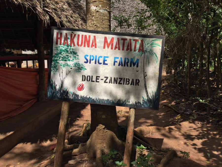 Zanzibar:Stone Town & Spice Farm Private Tour Lunch Included - Guides who shape the experience