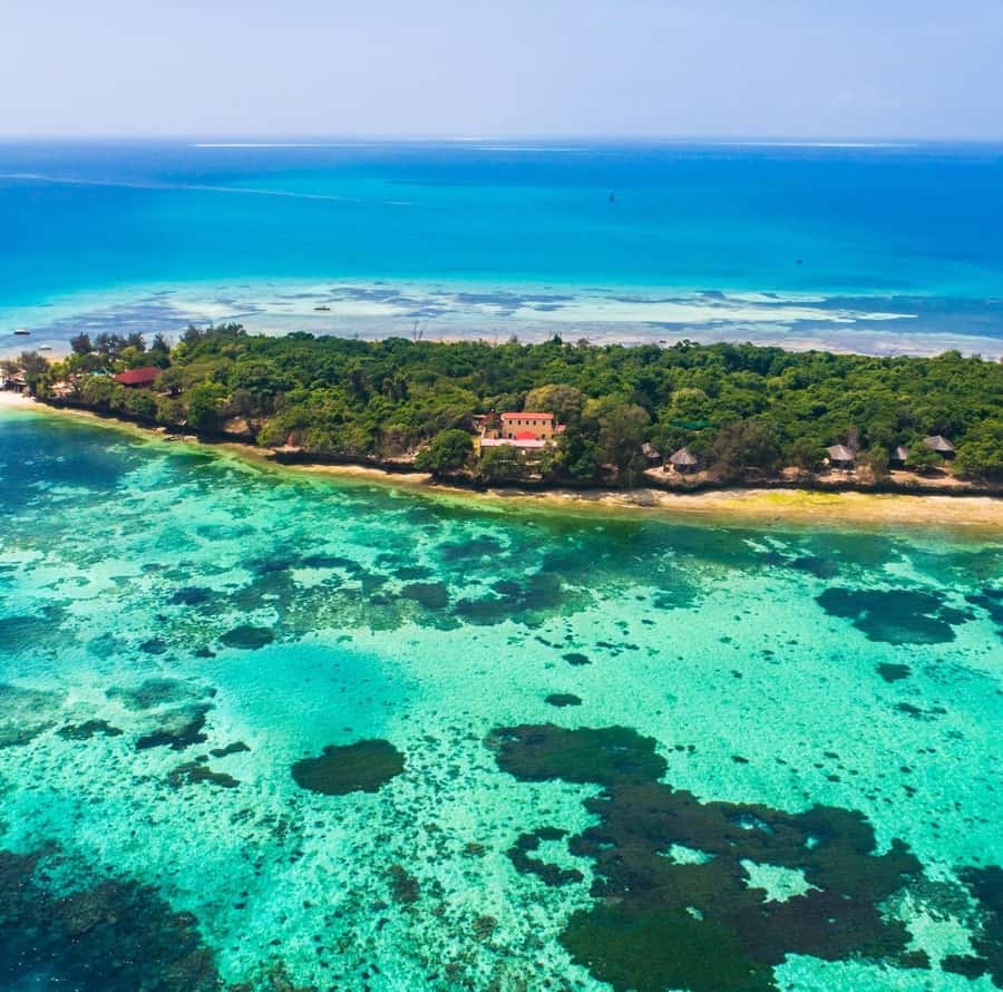Zanzibar: Stone Town, Spice Tour, Prison Island with Lunch - Six things to know before you book