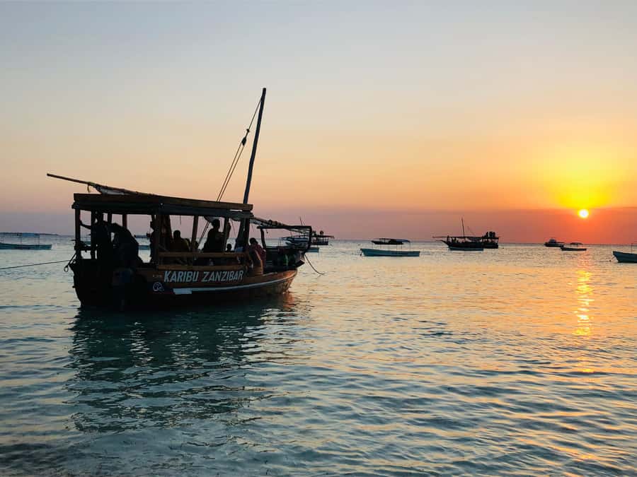 Zanzibar: Sunset Dhow Cruise - What Makes This Cruise Worth Your Evening