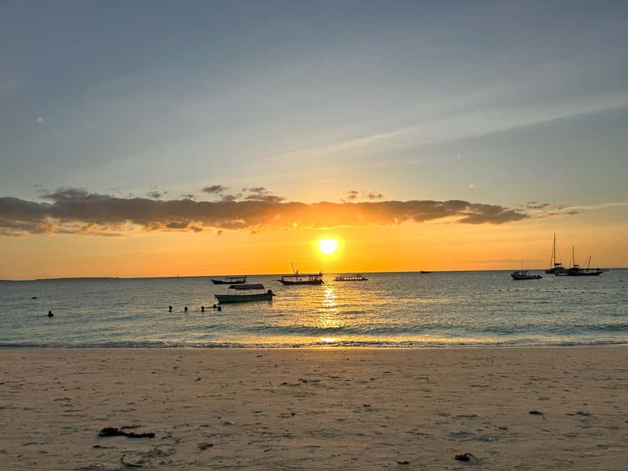 Zanzibar: Sunset Dhow Cruise - Swimming, dolphins, and the sunset itself
