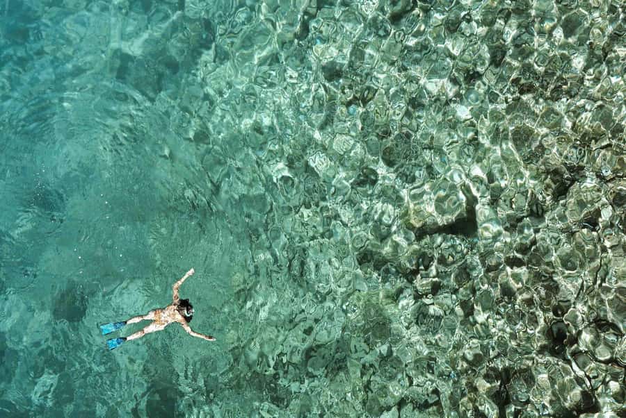 Zanzibar : Swim with dolphin + Snorkel mnemba coral Reef - Should you book the Mnemba dolphin and snorkel tour?