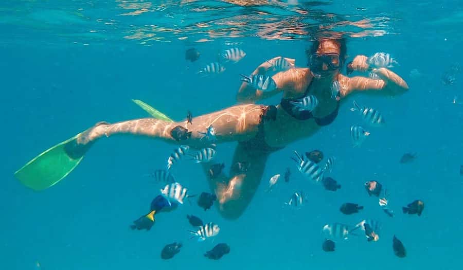 Zanzibar Swimming with Dolphins and snorkeling - Watching dolphins at Kizimkazi Mkunguni