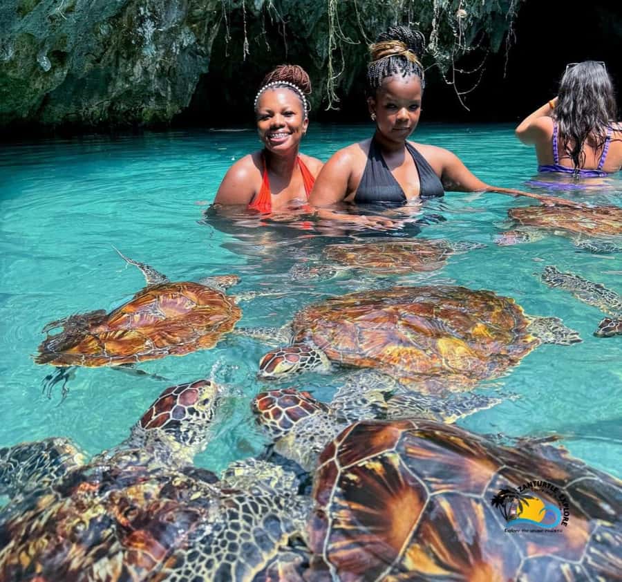 Zanzibar: Swimming with Turtles at Salaam Cave Aquarium - Key points to know before you book