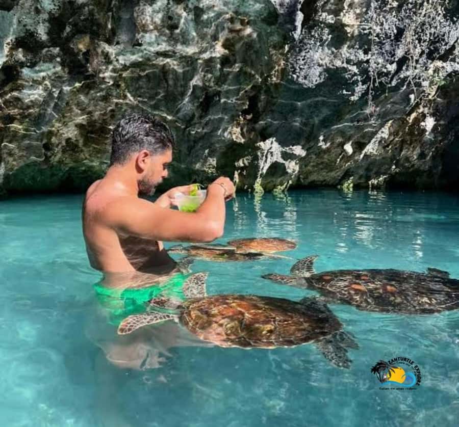 Zanzibar: Swimming with Turtles at Salaam Cave Aquarium - Why the conservation work matters