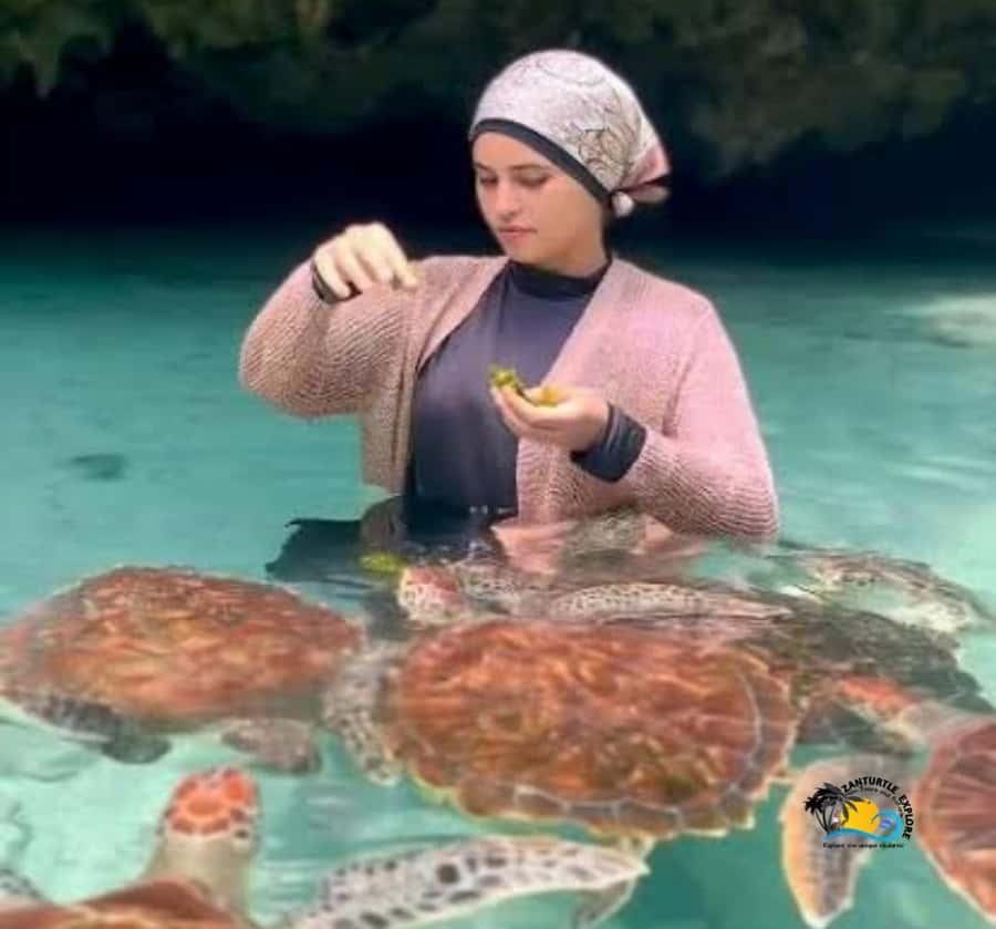 Zanzibar: Swimming with Turtles at Salaam Cave Aquarium - Making sense of the $56 price