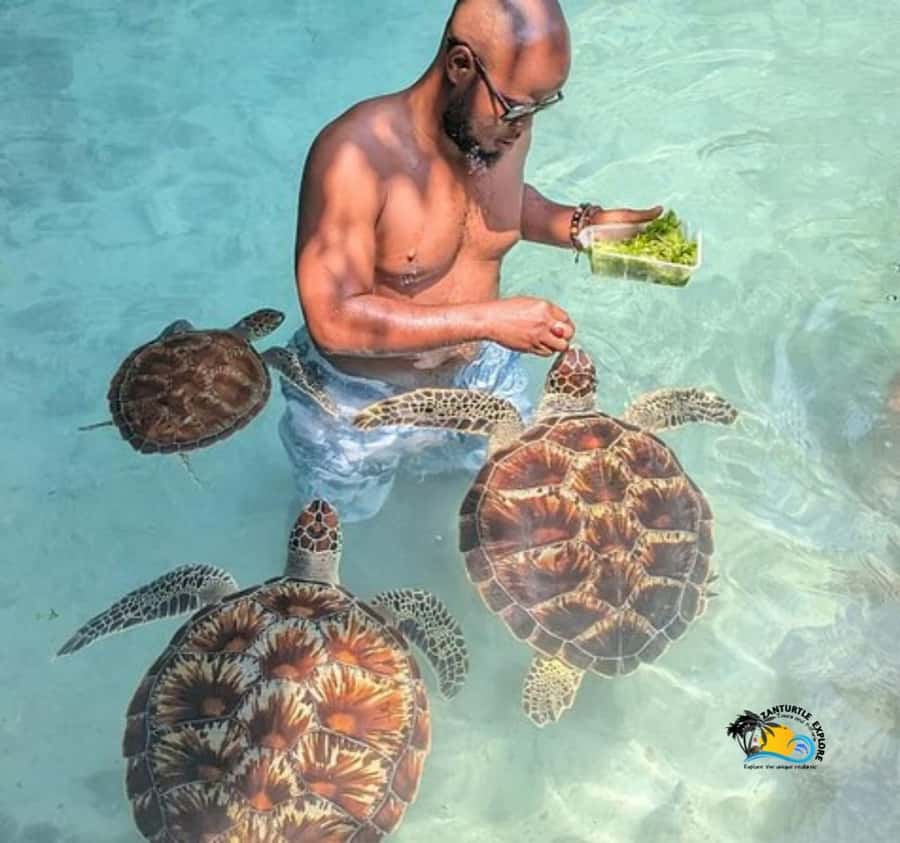 Zanzibar: Swimming with Turtles at Salaam Cave Aquarium - What to bring, and what to leave behind