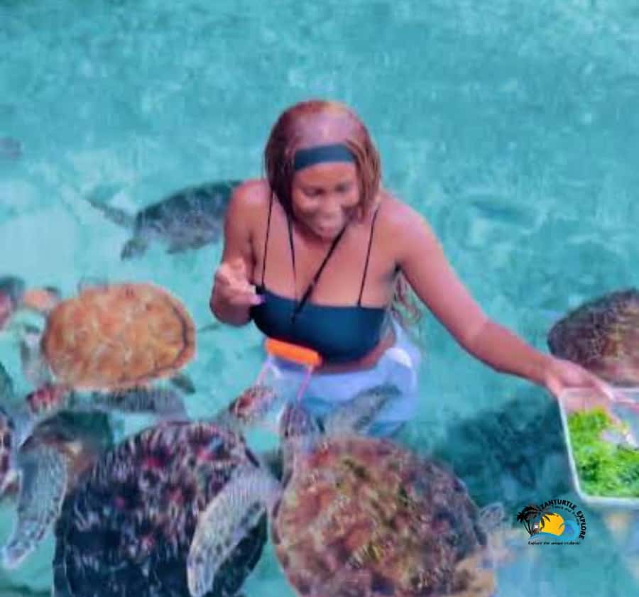 Zanzibar: Swimming with Turtles at Salaam Cave Aquarium - How the four hours usually fit together