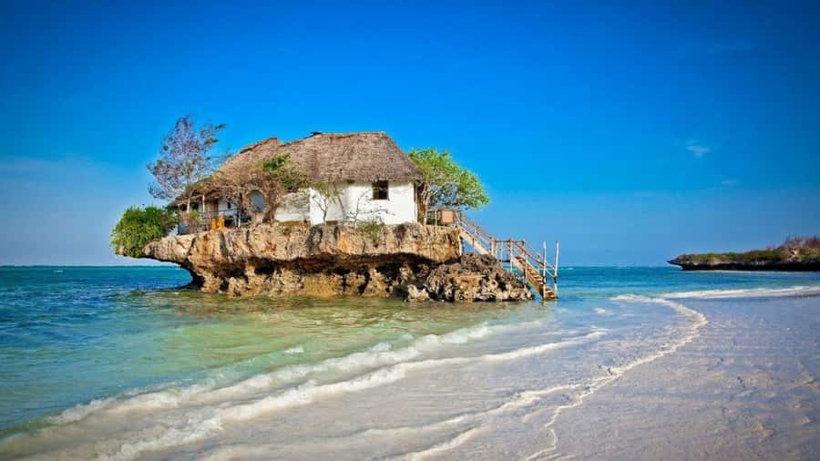Zanzibar: Tandem Clear Kayak Adventure and Rock Restaurant - Key points at a glance