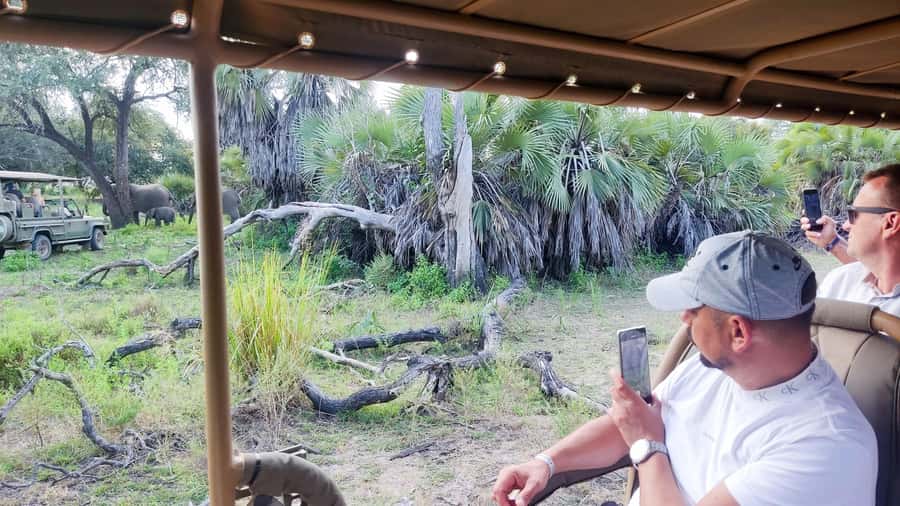 Zanzibar: The 2 Days & 3 Safari Nyerere National park/Selous - What the guide and small group add