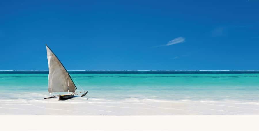 Zanzibar: The Rock, Paje Beach, Jozani Forest, Salaam Cave - Is $140 a fair price?