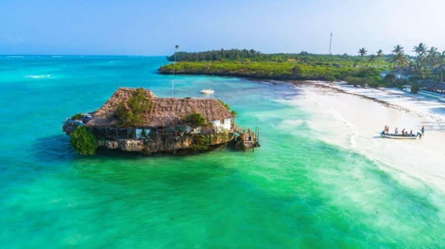 Zanzibar: The Rock Restaurant, Jozani Forest, Salaam Cave - Jozani Forest and the red colobus monkeys