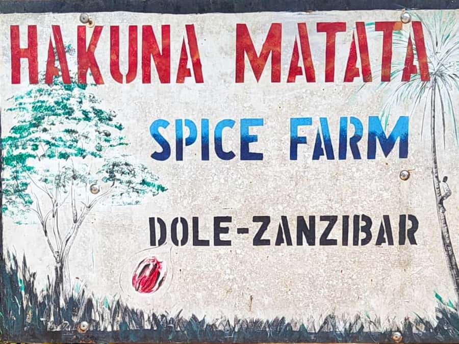 Zanzibar: The Swahili Spice Experience - Spice Tour + Culinary Journey - Who will get the most from this tour
