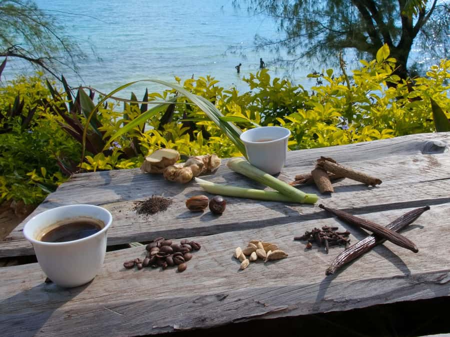 Zanzibar: The Swahili Spice Experience - Spice Tour + Culinary Journey - Shade, heat, and what to wear at the farm
