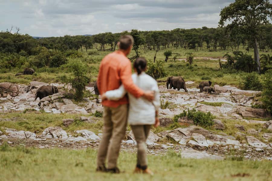 Zanzibar to the Plains: The 3-Day Ndutu Migration Experience - The first Ndutu game drive