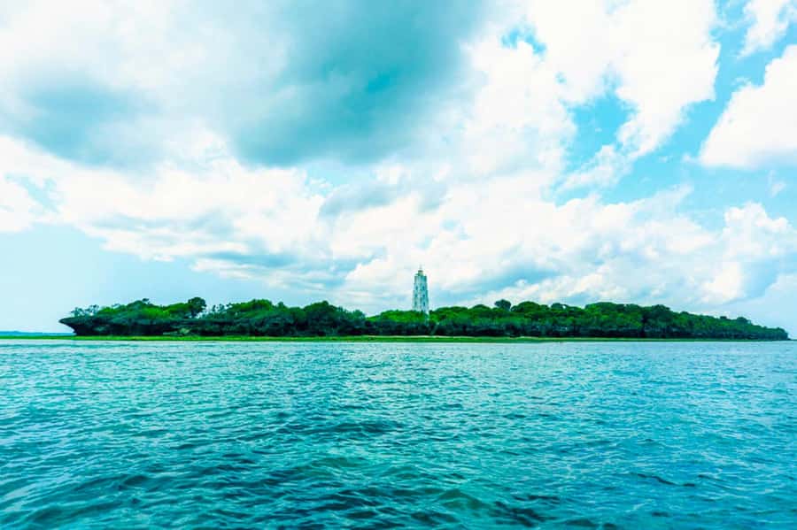 Zanzibar: Tumbatu Island Private Snorkeling Adventure Tour - What the reef is really like