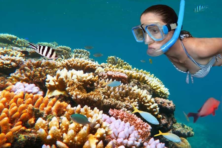 ZNZ: Dolphin Tour at Mnemba, Lagoon Aquarium & Kendwa Beach. - Key points to know before booking
