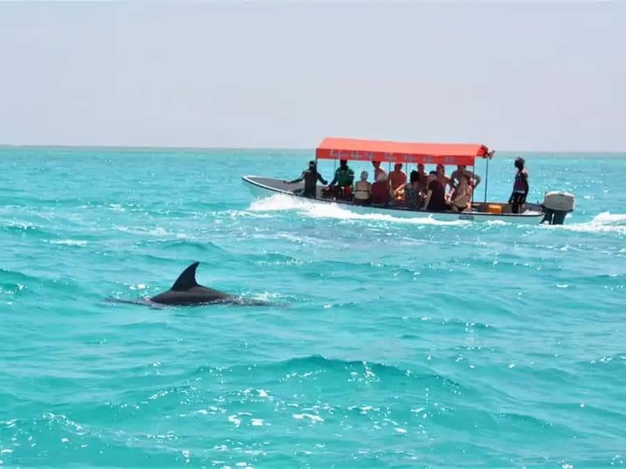 ZNZ: Dolphin Tour at Mnemba, Lagoon Aquarium & Kendwa Beach. - Mnemba: snorkeling and dolphin watching