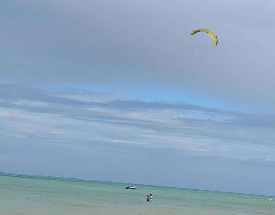 ZNZ: Dolphin Tour at Mnemba, Lagoon Aquarium & Kendwa Beach. - Transport, guides, and the private-group format