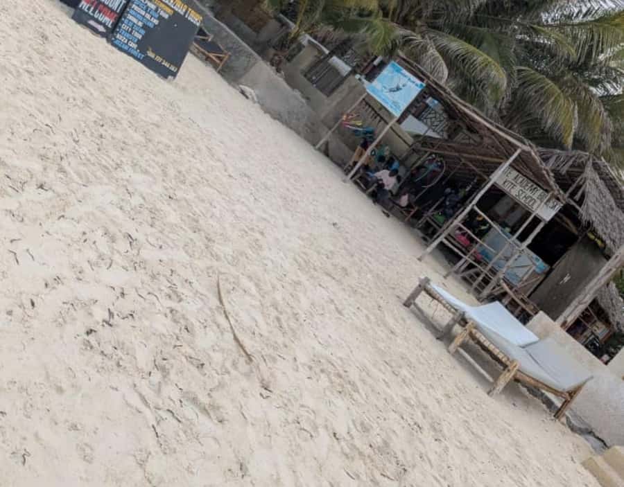 ZNZ: Dolphin Tour at Mnemba, Lagoon Aquarium & Kendwa Beach. - How to prepare for a better day